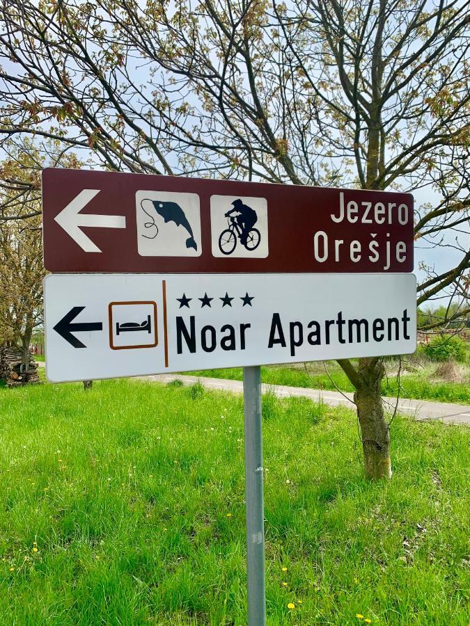 Noar Enjoy Your Oresje